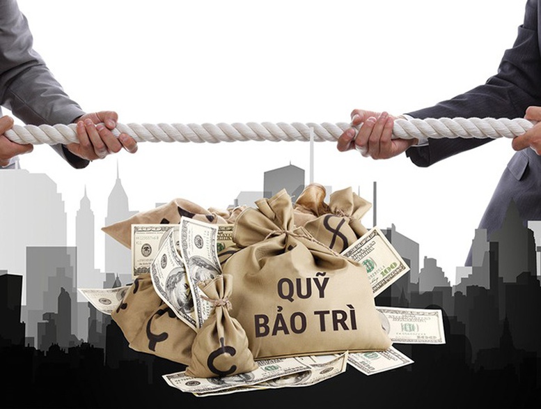Mức xử phạt vi phạm về quản lý, sử dụng nhà chung cư và kinh phí bảo trì- Ảnh 1.
