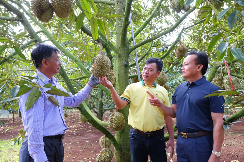 Mùa vàng thắng lớn: Hành trình đồng hành cùng nhà nông bền vững- Ảnh 3.
