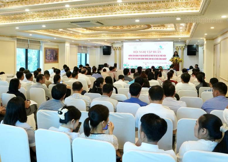 Thực thi quyền sở hữu trí tuệ: Tăng xử lý hình sự, siết vi phạm trên môi trường số- Ảnh 2.