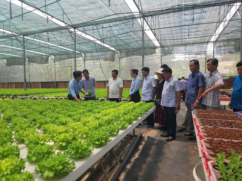 Dự kiến 18 lĩnh vực NN&MT người có chức vụ không được thành lập doanh nghiệp sau khi thôi chức- Ảnh 1.