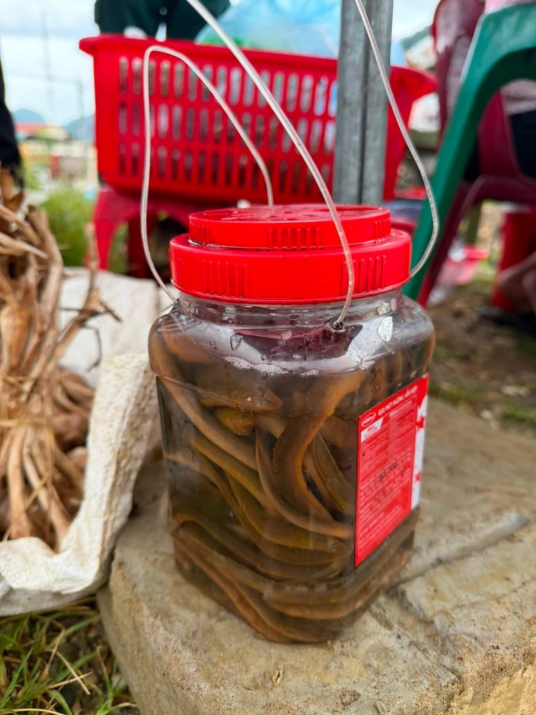 Khi Bí thư xã ‘cày cuốc’ trên các nền tảng số- Ảnh 3.