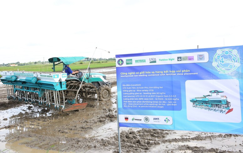 Cần Thơ: Nhân rộng 170.000 ha lúa chất lượng cao, không thể quản lý chỉ bằng sổ sách- Ảnh 1.