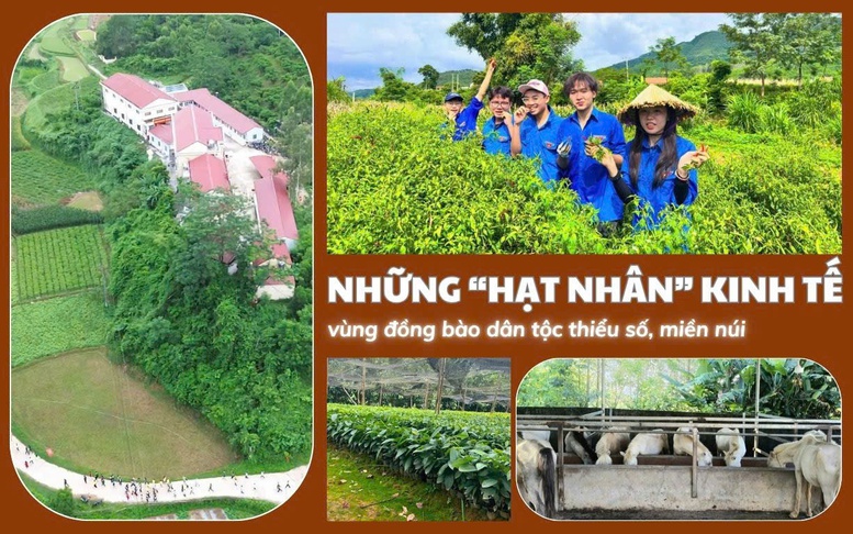 Những ‘hạt nhân’ kinh tế vùng đồng bào dân tộc thiểu số, miền núi