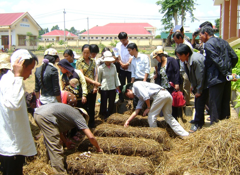 Gắn chặt đào tạo nghề nông nghiệp với thị trường