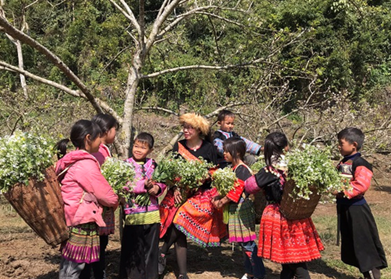 Mộc Châu rực rỡ sắc màu đón mùa xuân mới