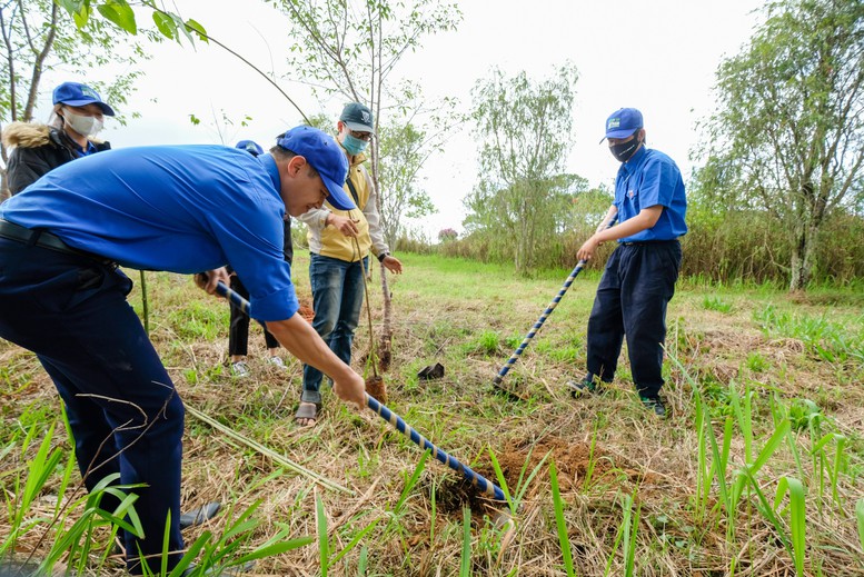 Trồng và bảo vệ rừng: Tiền đề để phát triển bền vững