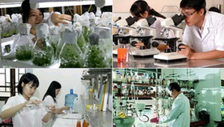 Quyền tự chủ của tổ chức khoa học và công nghệ công lập