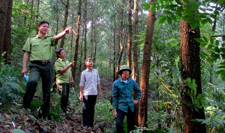 Nhiều quy định mới về khu du lịch sinh thái trong rừng