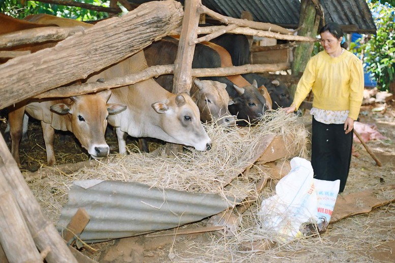 Phát triển chăn nuôi nông hộ cần gắn với du lịch sinh thái