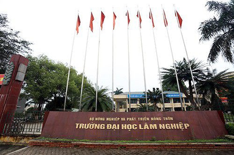 Bộ GD&ĐT thanh tra tuyển sinh tại 4 trường đại học