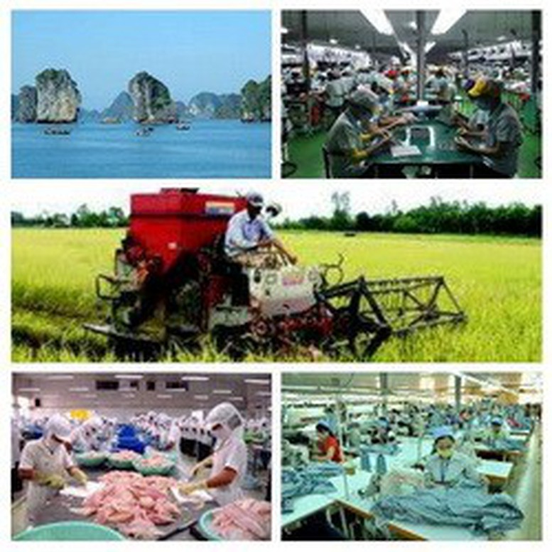 Xây dựng các cụm ngành sản phẩm có lợi thế cạnh tranh