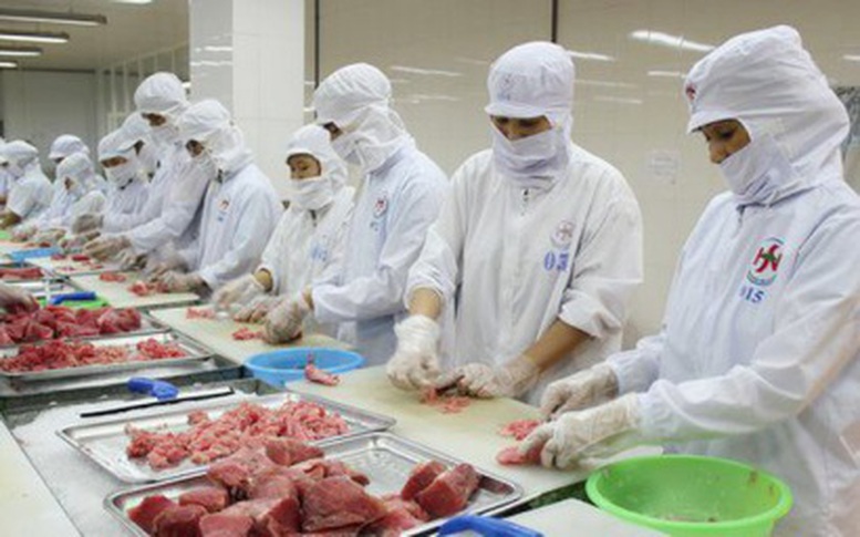 Cùng lúc vướng 2 thông tư, xuất khẩu cá ngừ đang bị đình trệ