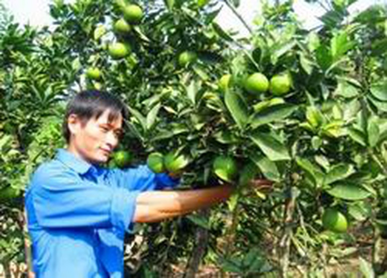 Thanh niên nông thôn thi đua sản xuất, kinh doanh giỏi