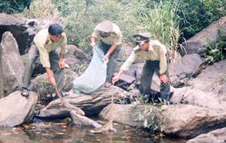 Ngăn chặn hành vi săn bắt trái phép động vật hoang dã