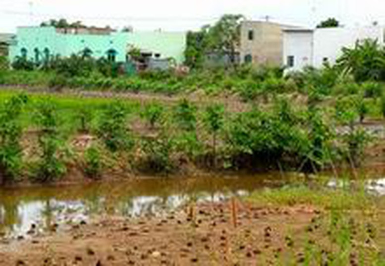 Nghĩa vụ tài chính khi chuyển mục đích sử dụng đất