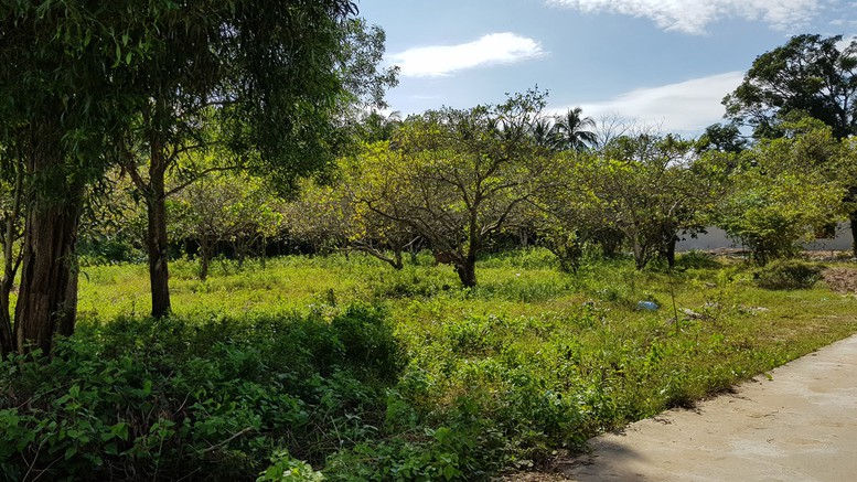 Tiêu chí đất vườn, ao được xác định là đất ở