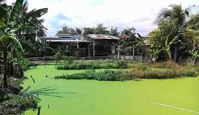 Điều kiện cấp sổ đỏ và chuyển mục đích sử dụng đất ao