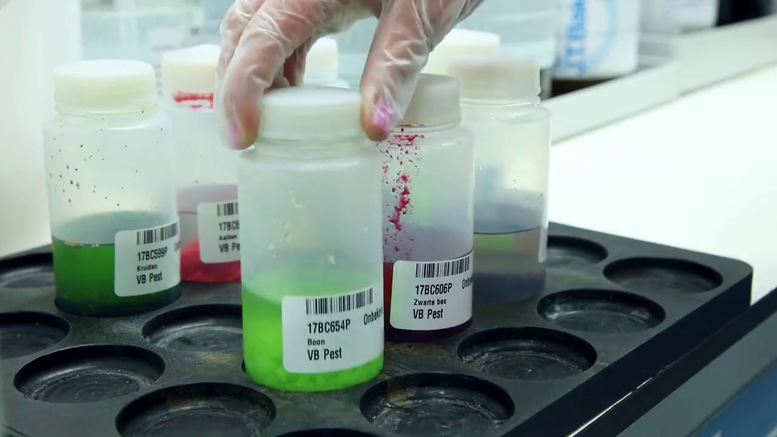 Thủ tục cấp Giấy phép khảo nghiệm thuốc bảo vệ thực vật