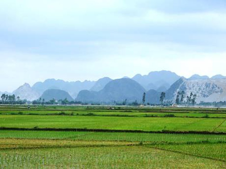 Không làm nông nghiệp có được nhận tặng cho đất lúa?