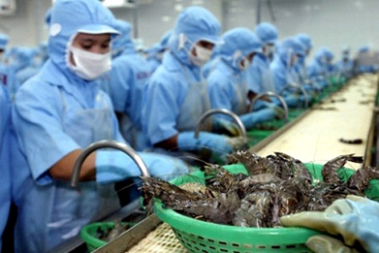 Mỹ giảm thuế chống phá giá tôm Việt Nam