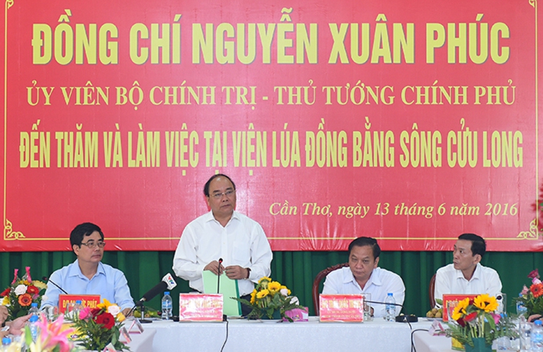 Thủ tướng đặt hàng các nhà khoa học Viện Lúa ĐBSCL