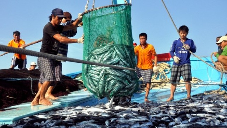 Gỡ ‘thẻ vàng’ IUU - cam go đường đi tới khai thác bền vững