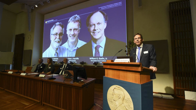 Nobel Y học 2019 vinh danh nghiên cứu mở đường cho điều trị bệnh thiếu máu và ung thư 