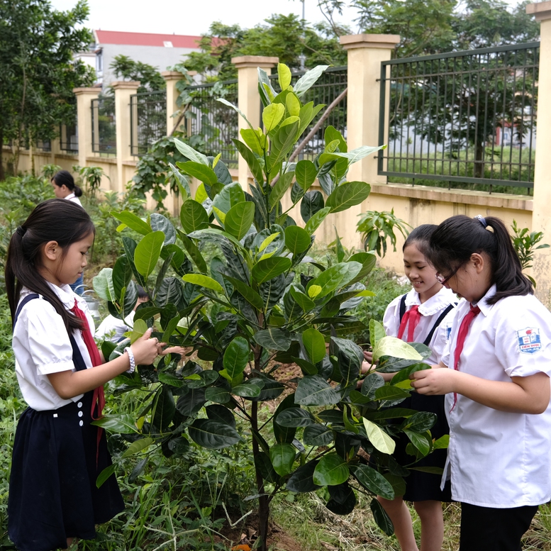 Quỹ 1 triệu cây xanh lan tỏa tình yêu thiên nhiên đến với học sinh