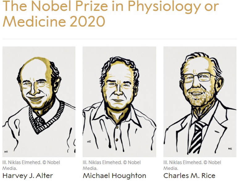 Nobel Y học 2020 vinh danh công trình nghiên cứu về virus viêm gan C