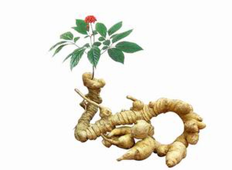 How to Plop Hair for Bouncy, Beautiful Curls