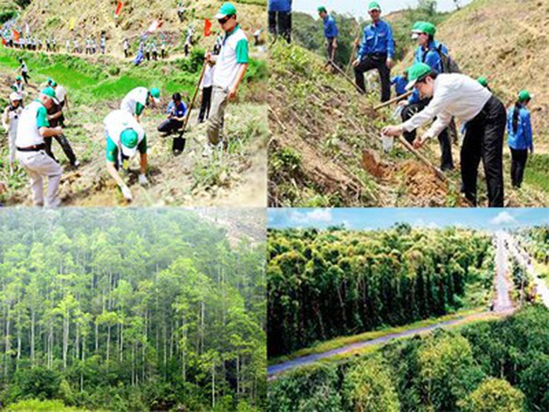 Tạo điều kiện để mọi tầng lớp nhân dân tích cực trồng cây, trồng rừng