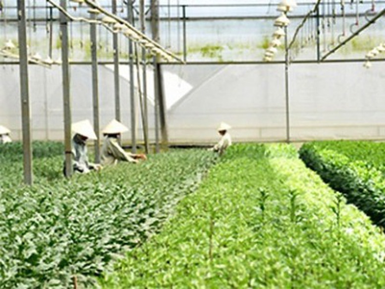 Nhiều chính sách hỗ trợ bảo hiểm nông nghiệp
