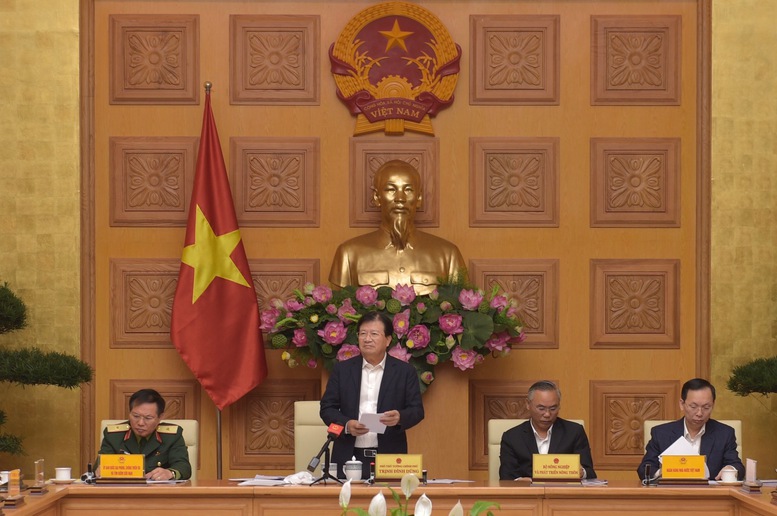 Lãnh đạo địa phương phải vào cuộc quyết liệt chống khai thác cá trái phép