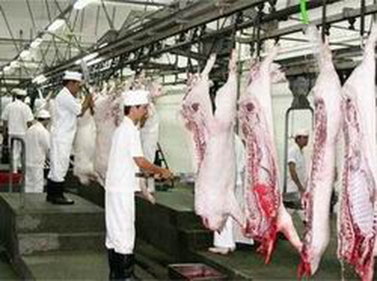 Kiểm soát chặt giết mổ gia súc gia cầm, vệ sinh thú y