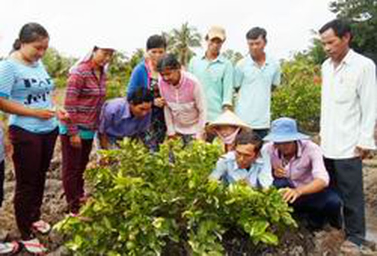 Nâng cao hiệu quả đào tạo nghề nông nghiệp