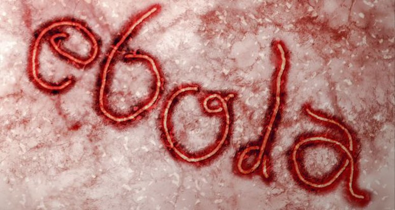 Tín hiệu tích cực trong cuộc chiến chống Ebola  