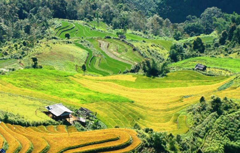 “Bắt ma” ở Bản Mù