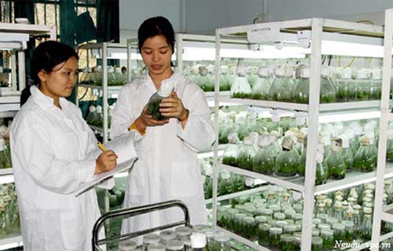 Đề xuất xây dựng Ngân hàng gene Quốc gia