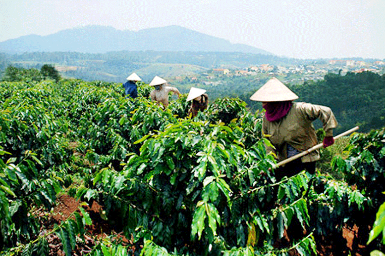 Nhận giao khoán của DN có được miễn tiền thuê đất?