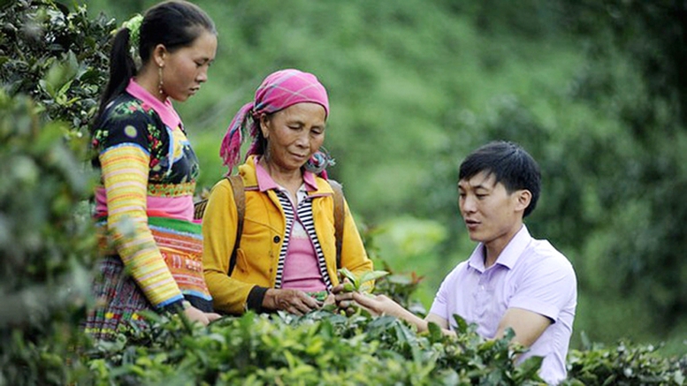 Trí thức trẻ của Đề án 500 được phụ cấp công vụ