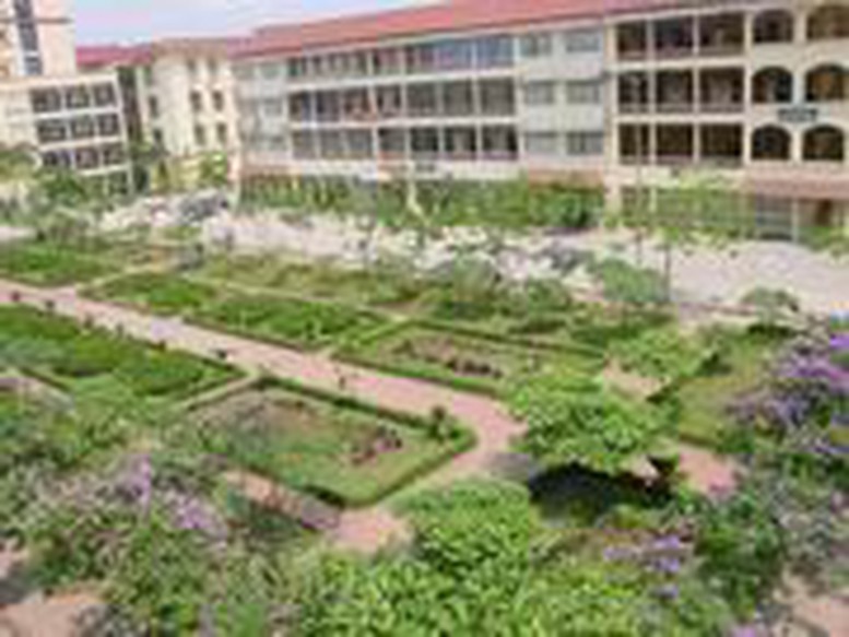 Thành lập Trường Đại học Trà Vinh