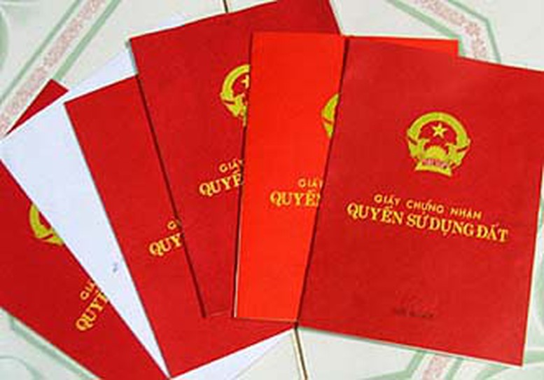 Về kiến nghị thu hồi Giấy Chứng nhận quyền sử dụng đất
