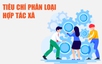 Infographics: Tiêu chí phân loại Hợp tác xã