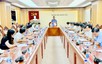 Thanh tra Chính phủ đẩy nhanh tiến độ ban hành kết luận thanh tra