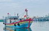 Đà Nẵng siết chặt quản lý 147 tàu cá chưa đủ điều kiện hoạt động