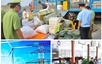 Chỉ đạo, điều hành của Chính phủ, Thủ tướng Chính phủ nổi bật tuần từ 31/5 - 6/6/2025