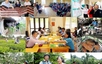Nâng cao hiệu quả tín dụng chính sách xã hội