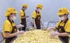 Xuất khẩu rau quả tăng tốc, siết chuẩn để giữ thị trường