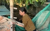 Kết thúc hoạt động và giải thể Quỹ Hỗ trợ Phụ nữ nghèo