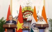 Dấu mốc ấn tượng trong quan hệ Việt Nam-Ấn Độ